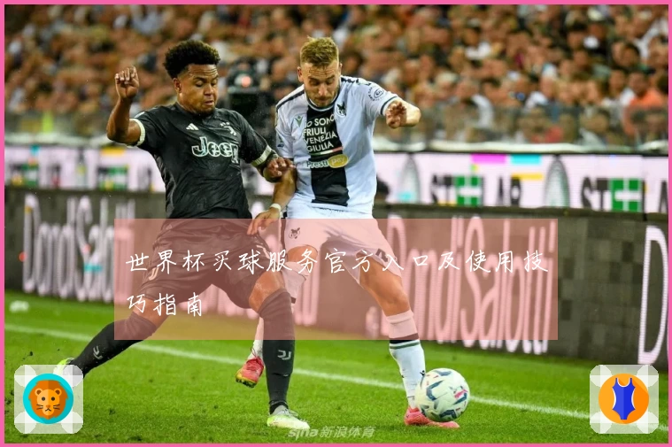 世界杯买球服务官方入口及使用技巧指南