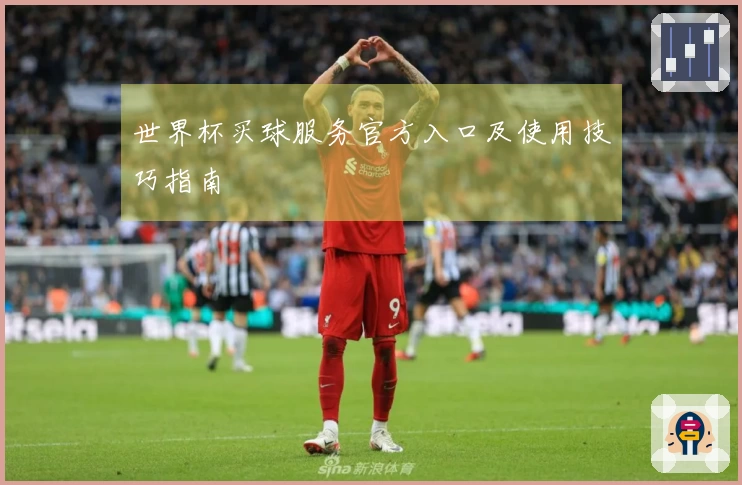 世界杯买球服务官方入口及使用技巧指南