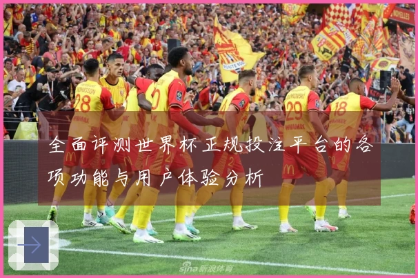 全面评测世界杯正规投注平台的各项功能与用户体验分析