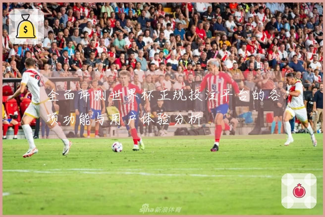 全面评测世界杯正规投注平台的各项功能与用户体验分析